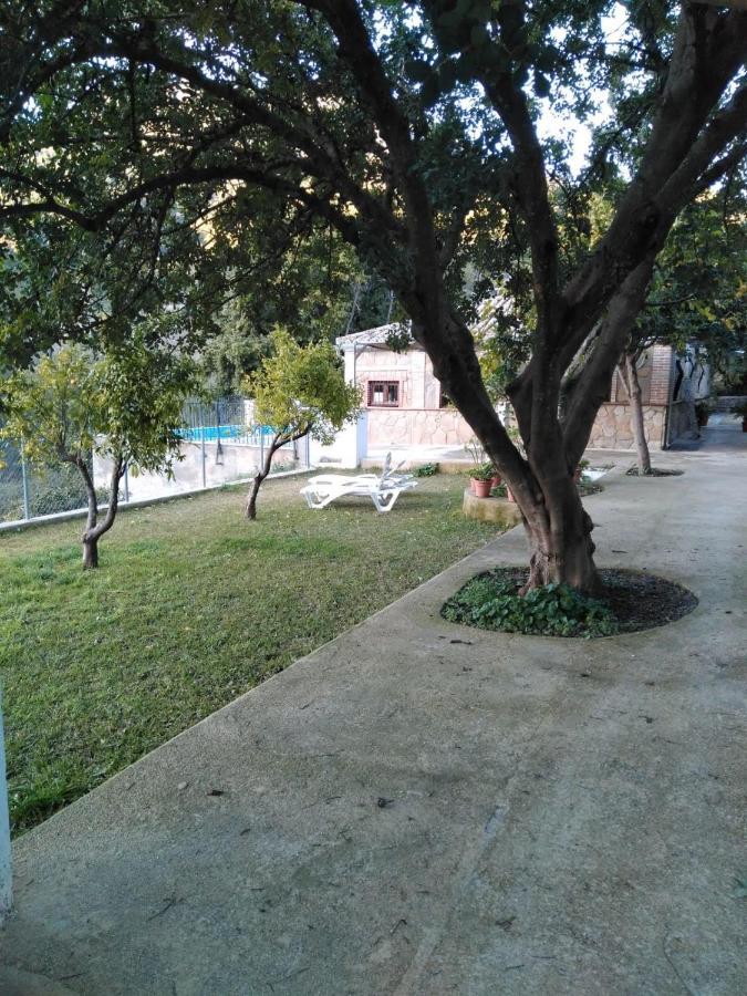 Affittacamere La Fuente De El Nacimiento Benamahoma Esterno foto